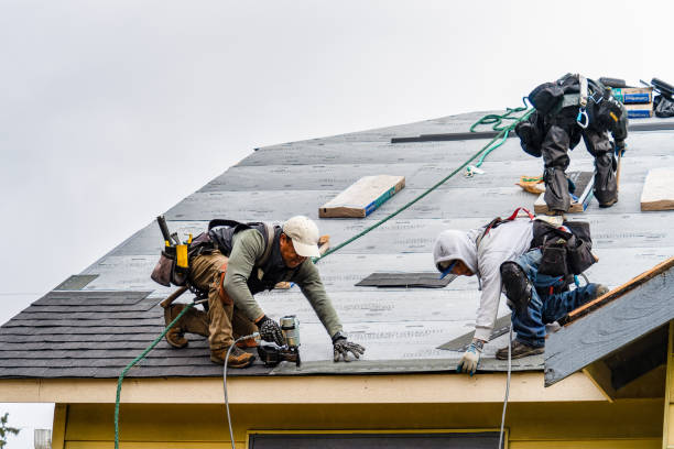 Professional Gutter Installation technician working in Warren, TX
